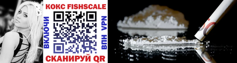 Кокаин FishScale  где продают наркотики  Гдов 