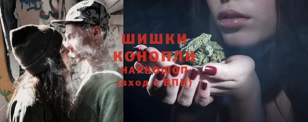 винт Липки