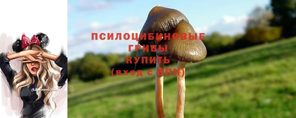 мдпв Лиски