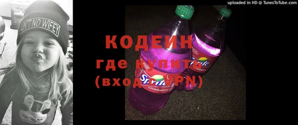 шишки Анива