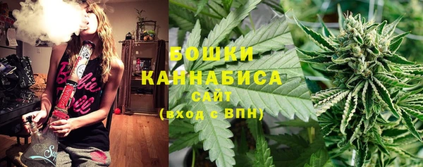 мдпв Лиски