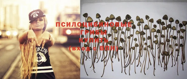 винт Липки