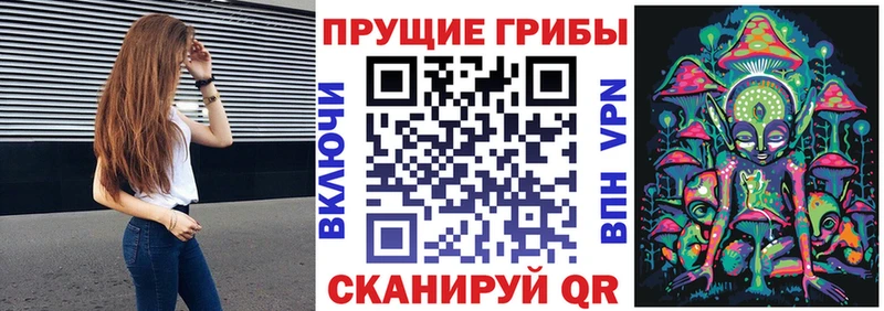 MEGA как зайти  Гдов  Псилоцибиновые грибы GOLDEN TEACHER 