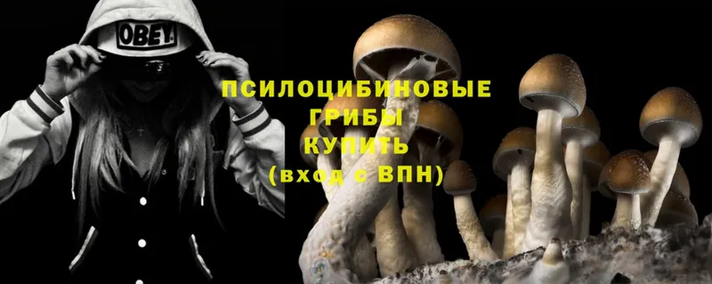 Галлюциногенные грибы MAGIC MUSHROOMS  shop формула  Гдов 